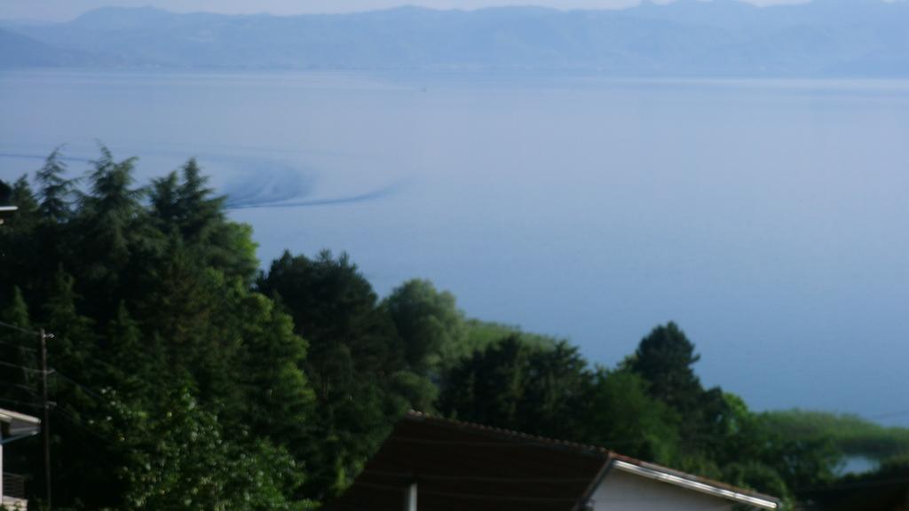 Villa Novak Ohrid Ngoại thất bức ảnh